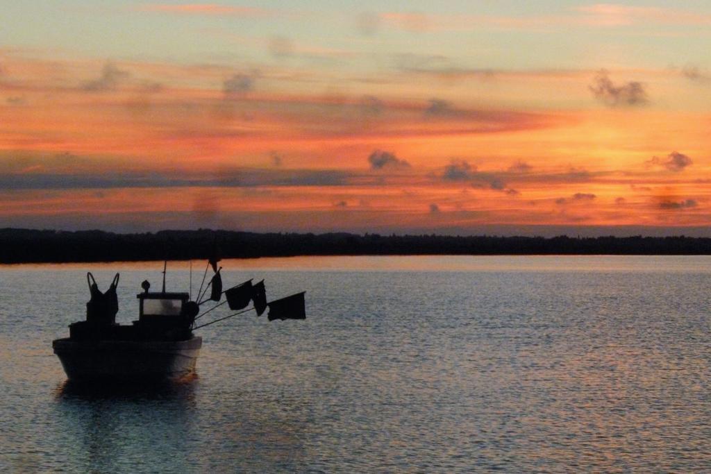 Logis Le Nid Du Pont De Gau Aparthotel Saintes-Maries-de-la-Mer Exteriör bild